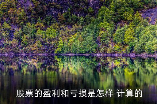 賣空股票利潤如何計(jì)算,股票賣空盈虧計(jì)算