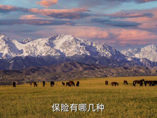 中國再保險分為哪幾類,再保險形式分為哪幾種