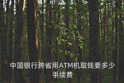  中國銀行跨省用ATM機(jī)取錢要多少 手續(xù)費