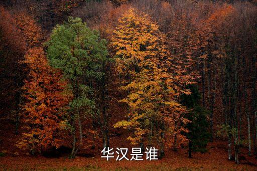  華漢是誰(shuí)