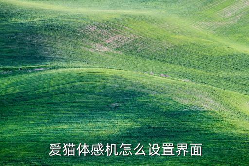  愛貓體感機怎么設置界面