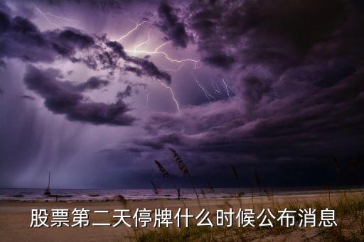  股票第二天停牌什么時候公布消息