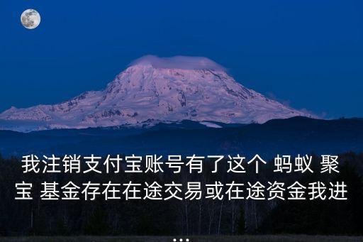 我注銷支付寶賬號有了這個(gè) 螞蟻 聚寶 基金存在在途交易或在途資金我進(jìn)...