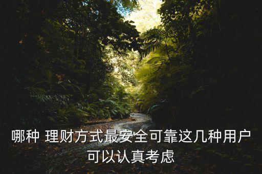 哪種 理財(cái)方式最安全可靠這幾種用戶(hù)可以認(rèn)真考慮