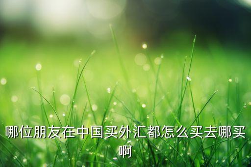 哪位朋友在中國(guó)買外匯都怎么買去哪買啊