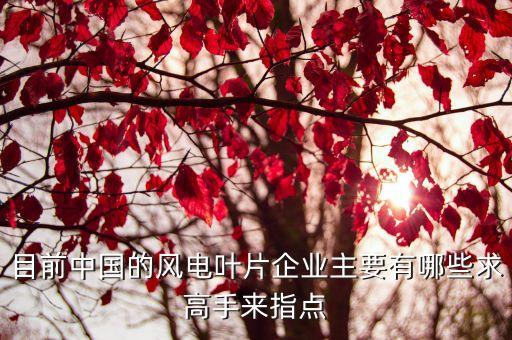 目前中國的風(fēng)電葉片企業(yè)主要有哪些求高手來指點(diǎn)