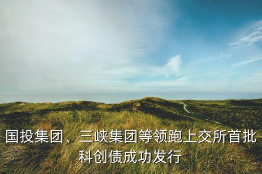 國投集團、三峽集團等領(lǐng)跑上交所首批科創(chuàng)債成功發(fā)行