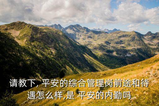 請教下, 平安的綜合管理崗前途和待遇怎么樣,是 平安的內勤嗎