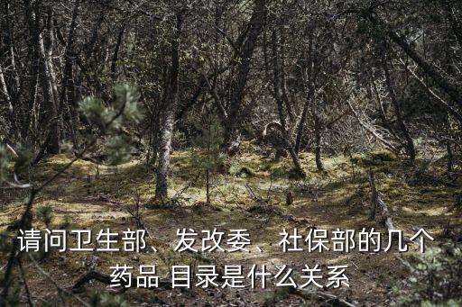請問衛(wèi)生部、發(fā)改委、社保部的幾個 藥品 目錄是什么關(guān)系