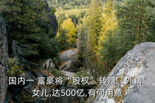 國內(nèi)一 富豪將“股權(quán)”轉(zhuǎn)贈“外籍”女兒,達(dá)500億,有何用意
