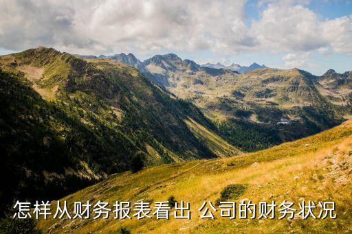 公司資產狀況