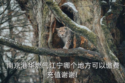  南京港華燃?xì)饨瓕幠膫€地方可以繳費充值謝謝!