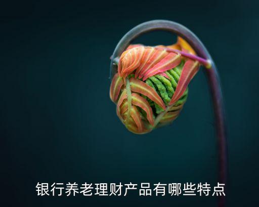 銀行產(chǎn)品的特點,根據(jù)銀行產(chǎn)品與服務(wù)的性質(zhì)特點