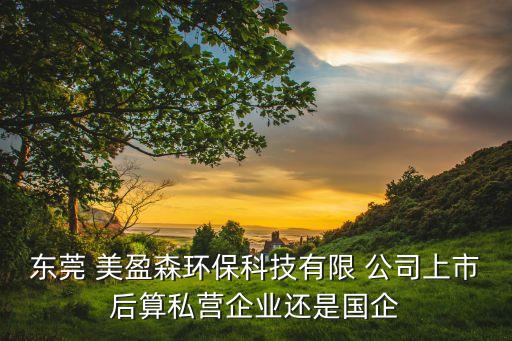 東莞 美盈森環(huán)?？萍加邢?公司上市后算私營企業(yè)還是國企