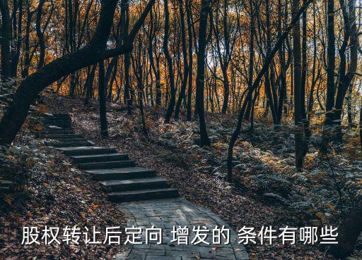 股權轉(zhuǎn)讓后定向 增發(fā)的 條件有哪些