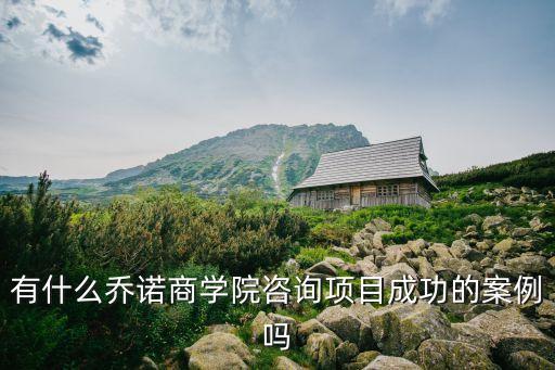 有什么喬諾商學(xué)院咨詢項目成功的案例嗎