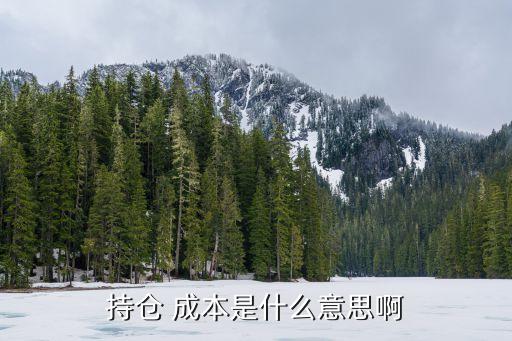 持倉(cāng) 成本是什么意思啊