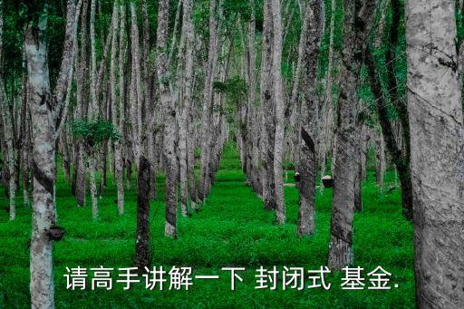 請(qǐng)高手講解一下 封閉式 基金.