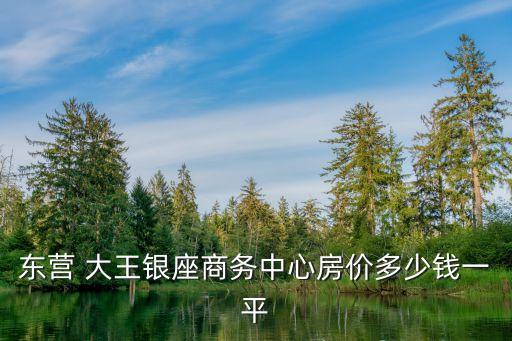 東營 大王銀座商務(wù)中心房?jī)r(jià)多少錢一平
