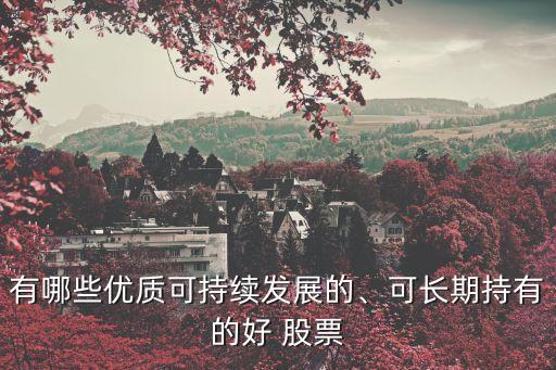 有哪些優(yōu)質(zhì)可持續(xù)發(fā)展的、可長(zhǎng)期持有的好 股票