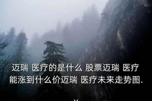 邁瑞 醫(yī)療的是什么 股票邁瑞 醫(yī)療能漲到什么價邁瑞 醫(yī)療未來走勢圖...