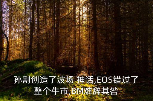 孫割創(chuàng)造了波場(chǎng) 神話,EOS錯(cuò)過了整個(gè)牛市,BM難辭其咎