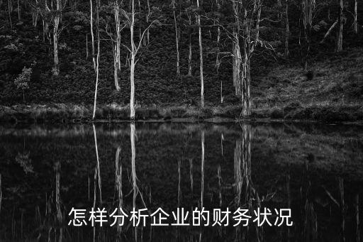 怎樣分析企業(yè)的財務(wù)狀況