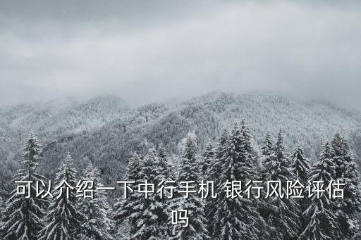 可以介紹一下中行手機(jī) 銀行風(fēng)險評估嗎
