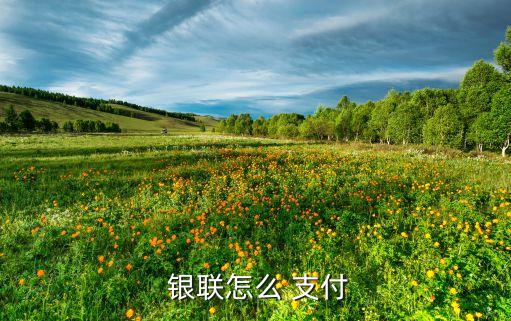 工商銀行銀聯在線支付