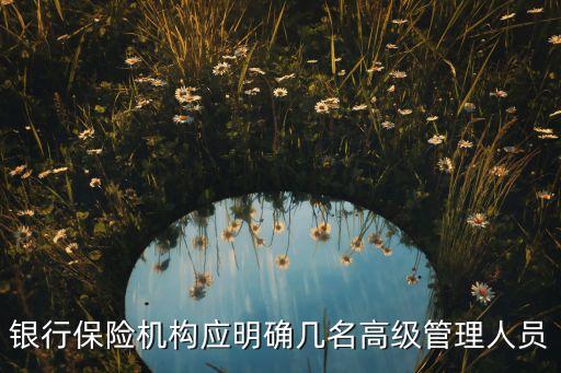 銀行保險(xiǎn)機(jī)構(gòu)應(yīng)明確幾名高級管理人員
