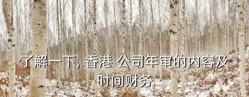 了解一下, 香港 公司年審的內(nèi)容及時間財務(wù)