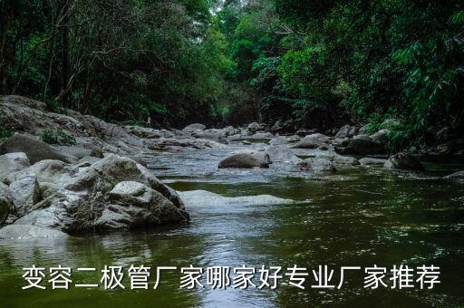 變?nèi)荻O管廠家哪家好專(zhuān)業(yè)廠家推薦