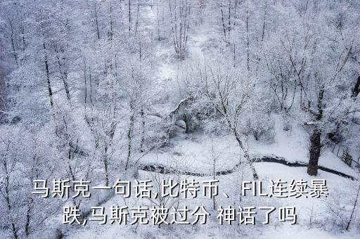 馬斯克一句話,比特幣、FIL連續(xù)暴跌,馬斯克被過分 神話了嗎