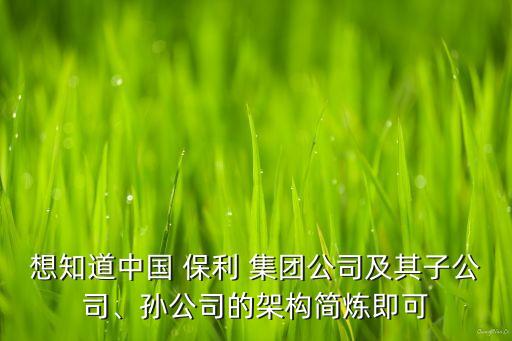 想知道中國 保利 集團(tuán)公司及其子公司、孫公司的架構(gòu)簡煉即可