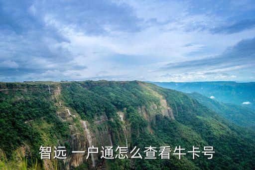 智遠(yuǎn) 一戶通怎么查看?？ㄌ? class=