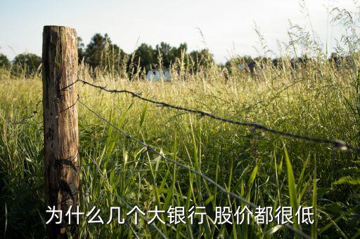 為什么幾個大銀行 股價都很低