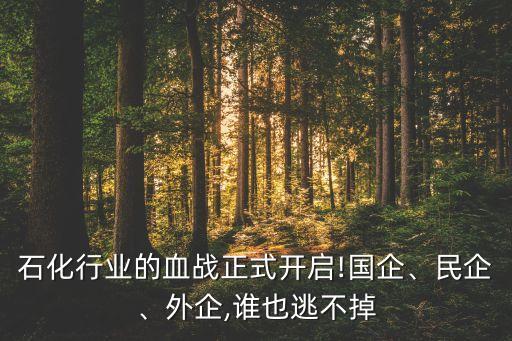 石化行業(yè)的血戰(zhàn)正式開啟!國企、民企、外企,誰也逃不掉