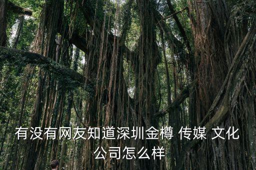 有沒(méi)有網(wǎng)友知道深圳金樽 傳媒 文化 公司怎么樣