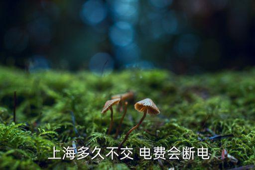  上海多久不交 電費(fèi)會斷電