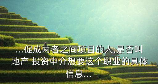 ...促成兩者之間項(xiàng)目的人,是否叫 地產(chǎn) 投資中介想要這個職業(yè)的具體信息...
