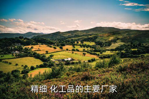 精細(xì) 化工品的主要廠(chǎng)家