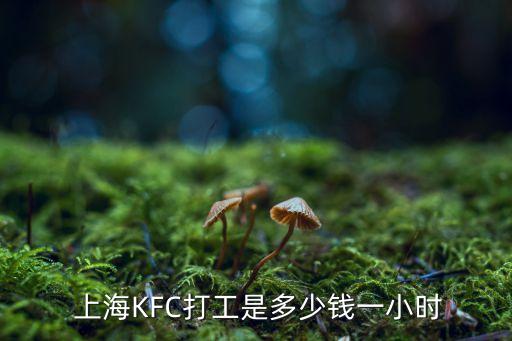 上?？系禄磕昙庸べY嗎