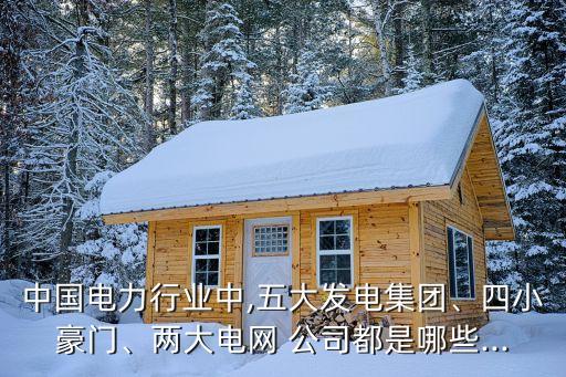 中國電力行業(yè)中,五大發(fā)電集團(tuán)、四小豪門、兩大電網(wǎng) 公司都是哪些...
