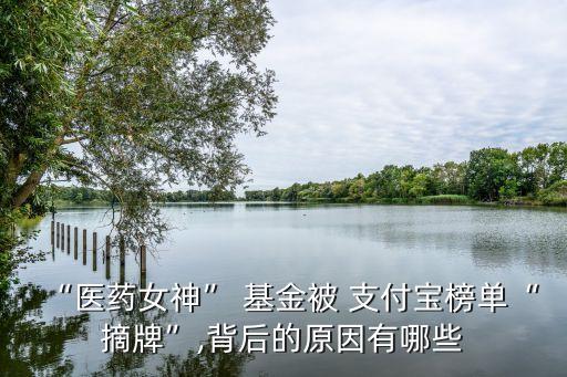 支付寶取得基金銷售牌照,基金銷售牌照全國(guó)有多少家