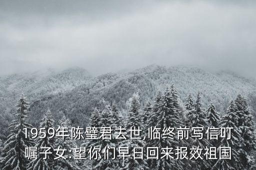 1959年陳璧君去世,臨終前寫信叮囑子女:望你們?cè)缛栈貋韴?bào)效祖國(guó)