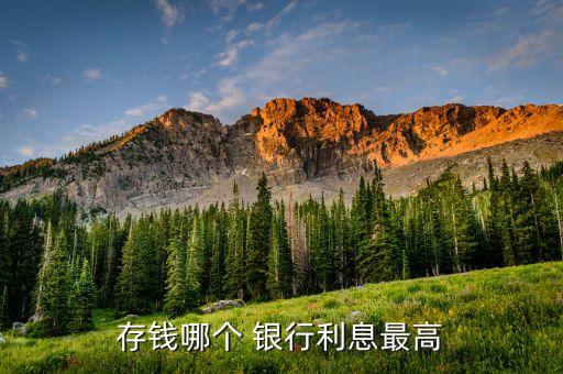 存錢哪個 銀行利息最高