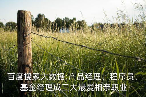 百度搜索大數(shù)據(jù):產(chǎn)品經(jīng)理、程序員、 基金經(jīng)理成三大最?lèi)?ài)相親職業(yè)