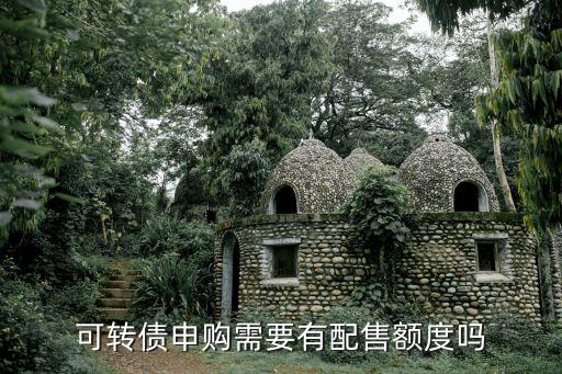 可轉債申購需要有配售額度嗎