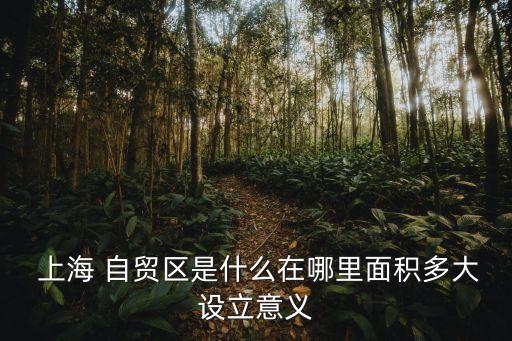  上海 自貿區(qū)是什么在哪里面積多大設立意義