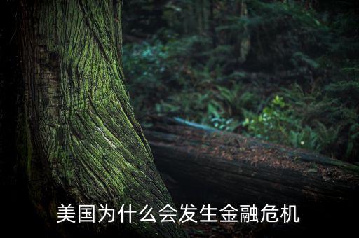 美國為什么會發(fā)生金融危機(jī)